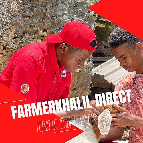 FarmerKhalil on Facebook Metaverse